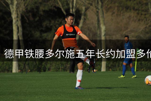 德甲铁腰多尔施五年长约加盟多伦多FC 转会费超400万美元
