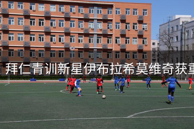 拜仁青训新星伊布拉希莫维奇获重用 将担纲主力替补待冬窗检验
