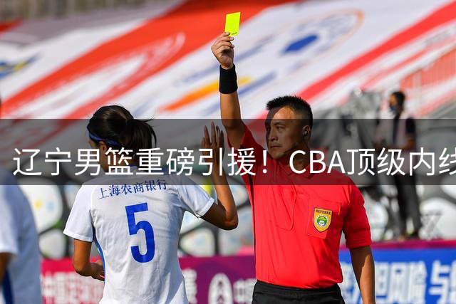 辽宁男篮重磅引援！CBA顶级内线克里斯加盟，赵继伟迎来强力搭档